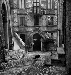 Black Cat In Labro, Labro Italy
