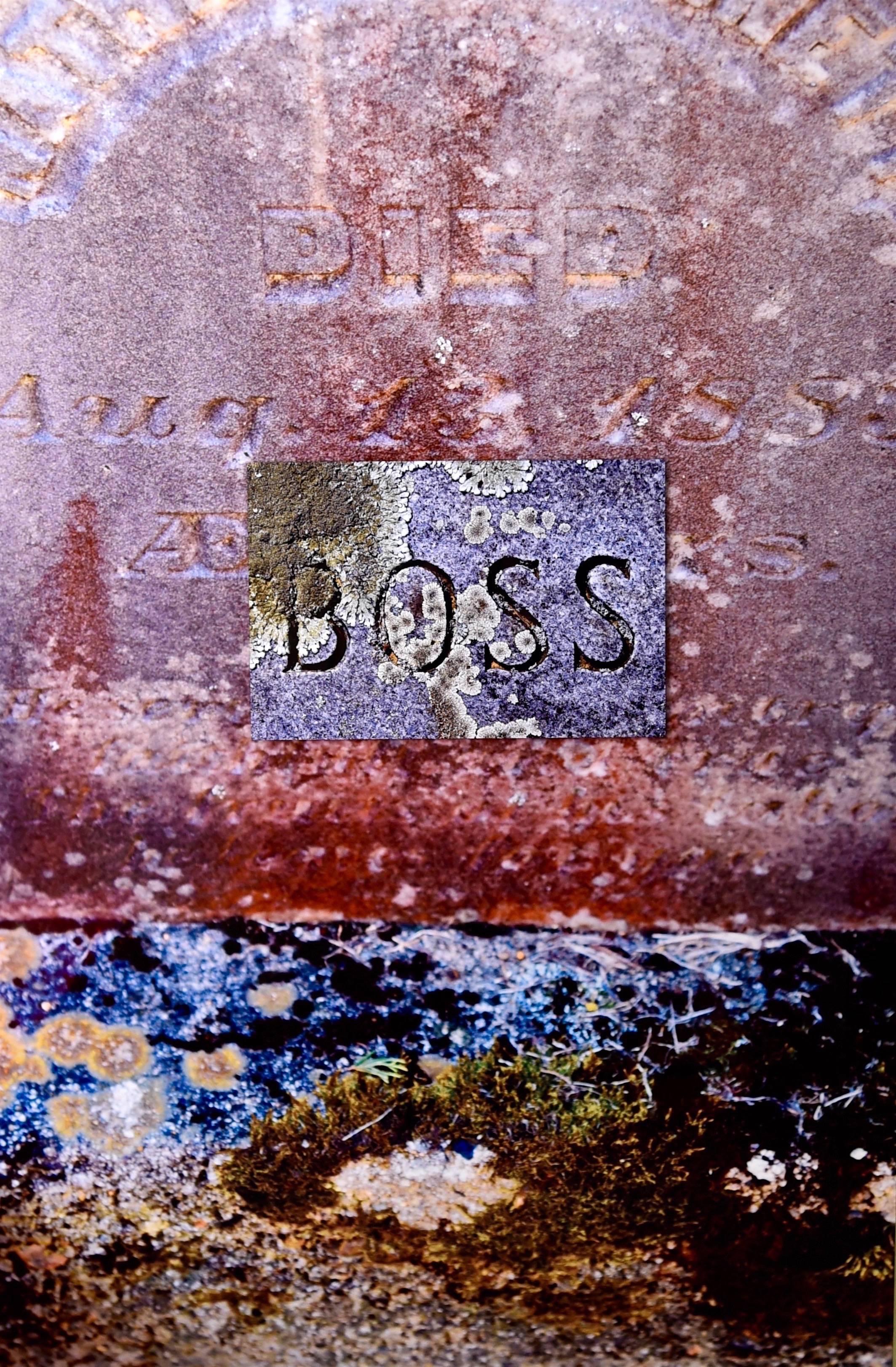 Stein/Boss in Stein gefasst  - Ltd.-Edition von 10 – Mixed Media Art von Kat O'Neill