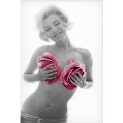 Marilyn Monroe pink roses 6