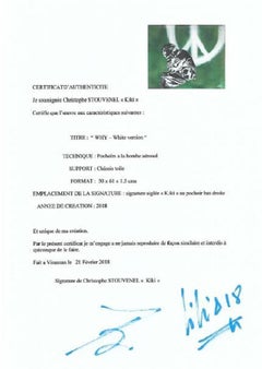 WHY – Weiße Version in Weiß