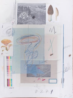 Natural History, Part 1, Mushrooms N. VII - Original Mixed Media by Cy Twombly