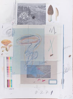 Retro Natural History, Part 1, Mushrooms N. VII - Original Mixed Media by Cy Twombly