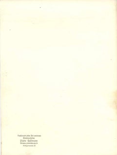 50th Hitler's Birthday Original Photo