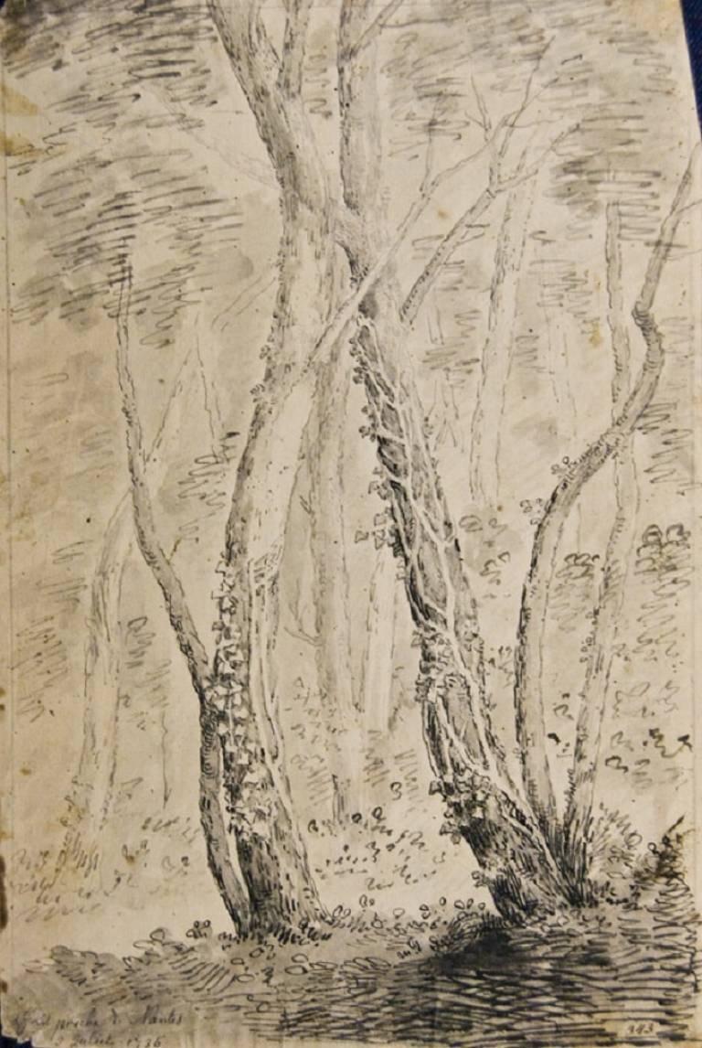 Jan Pieter Verdussen Landscape Art - Study of the Wild Flora in Nantes