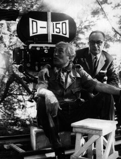 The American Director John Huston, 1970s