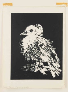 „La Petite Colombe“ (Die kleine Taube) – Lithografie von Pablo Picasso – 1949