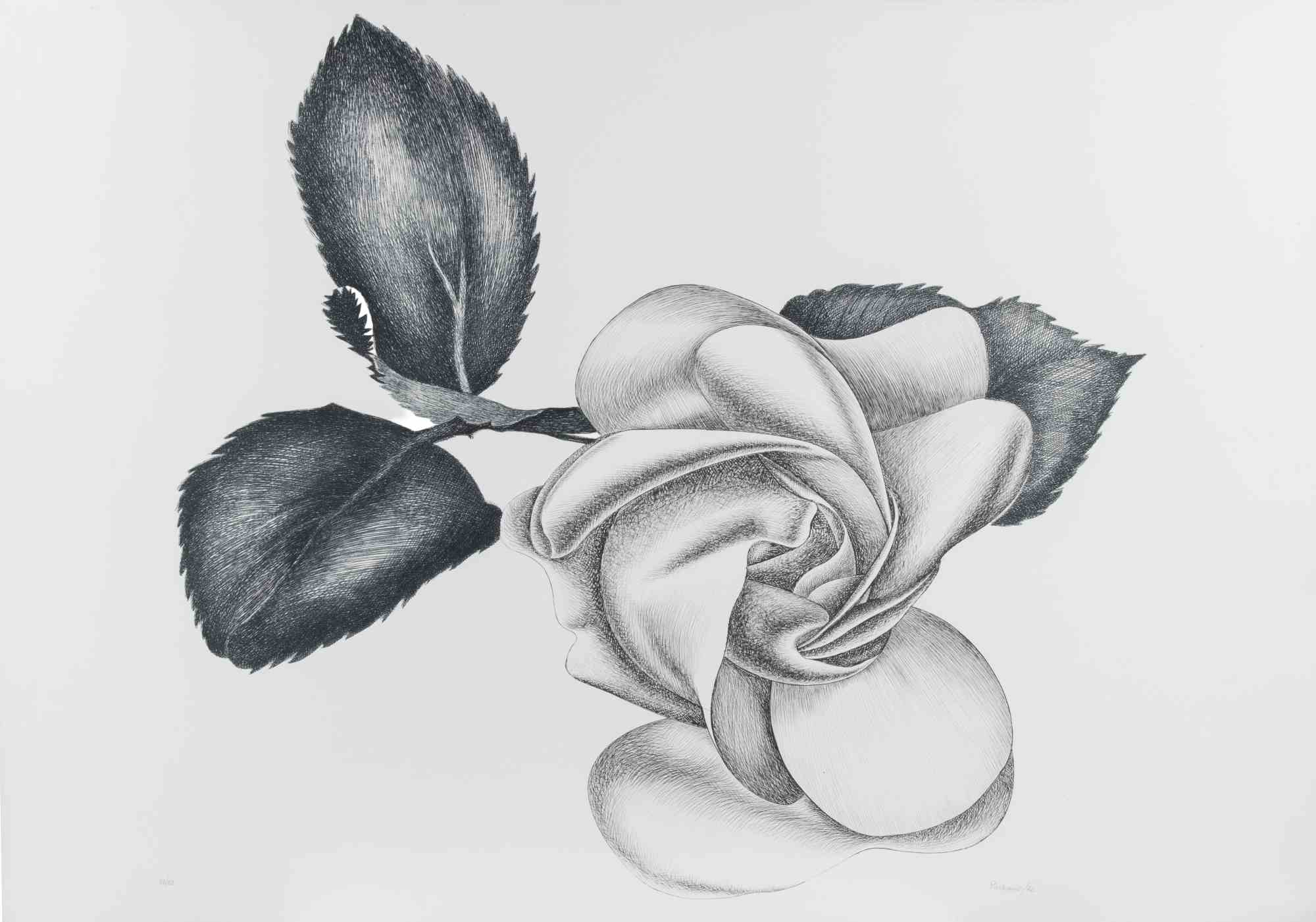 Black Rose - Etching by Giacomo Porzano - 1972