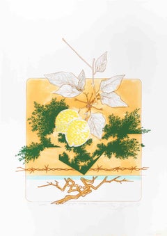 Still Life (Lemons) - Etching by Leo Guida - 1976