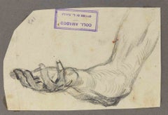 Studi anatomici - Disegno di Luigi Galli - Fine del XIX secolo