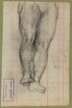 Studi anatomici - Disegno di Luigi Galli - Fine del XIX secolo