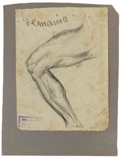 Studi anatomici - Disegno di Luigi Galli - Fine del XIX secolo