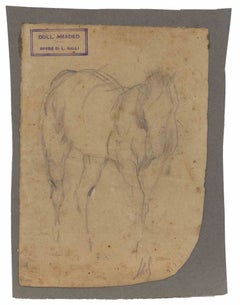 Le cheval - Dessin de Luigi Galli - Fin du XIXe siècle