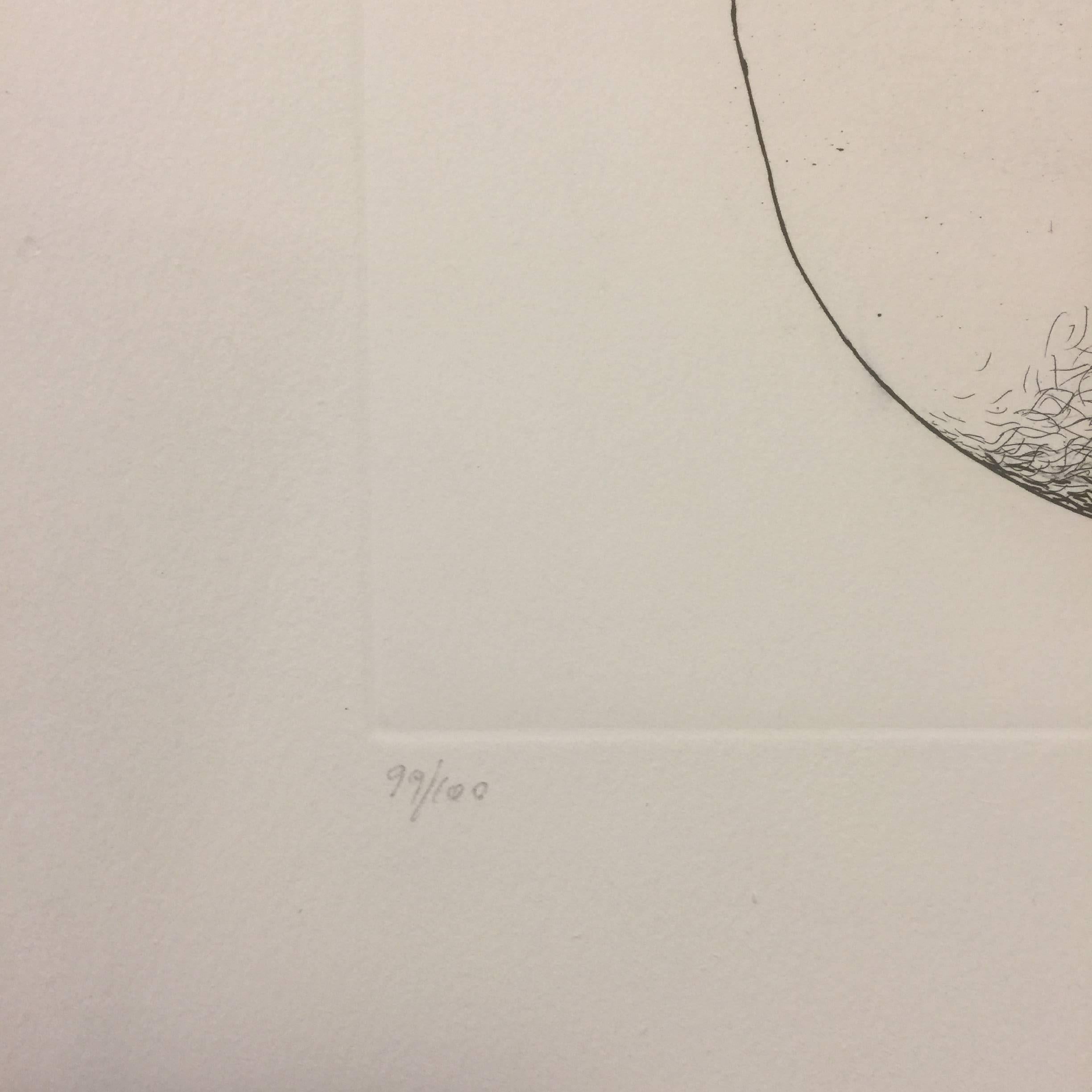 Hand Signed. Edition of 100.
Original etching.
Image dimensions : 51.5 x 34 cm