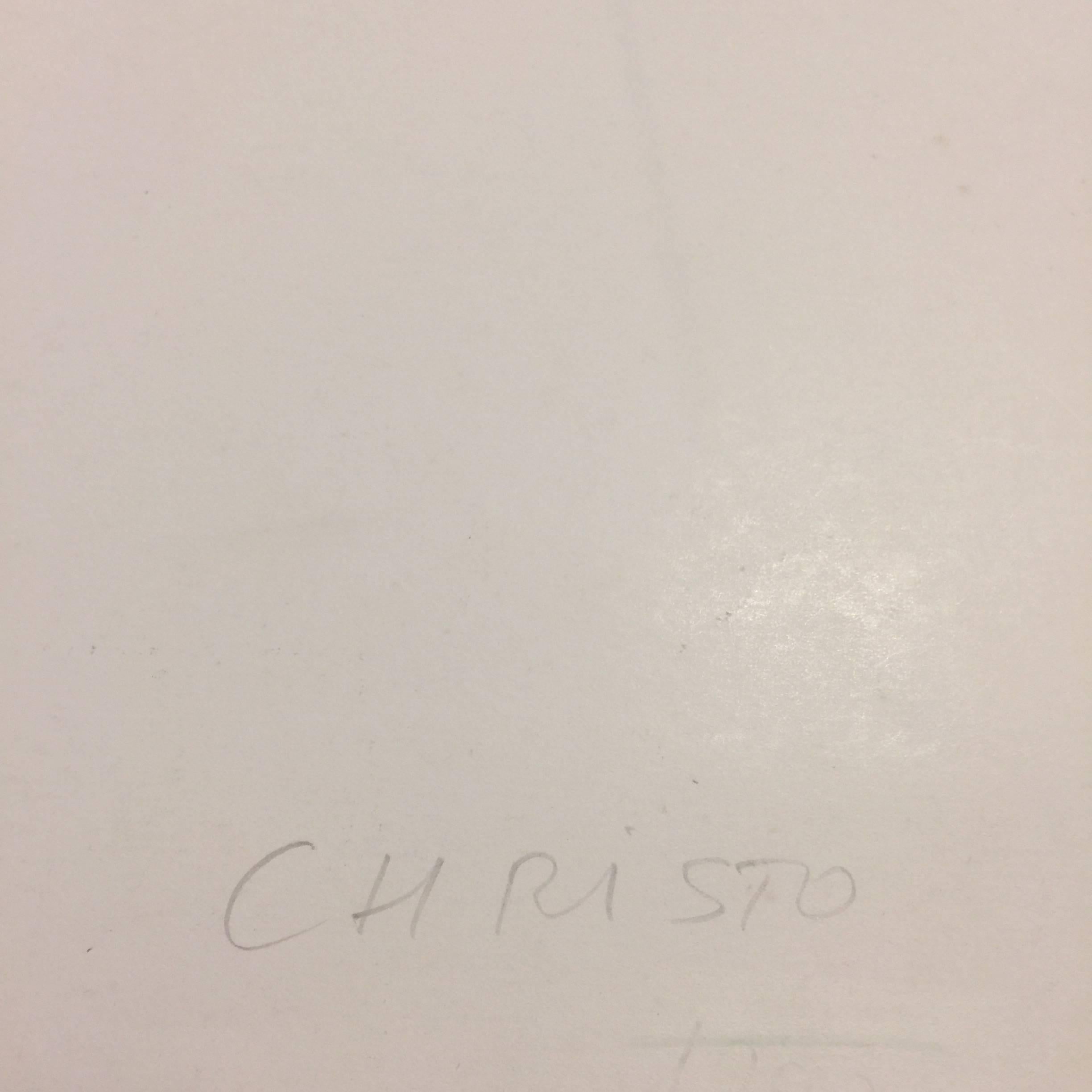 christo the wall