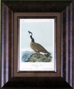 Antique Hutchin's Goose