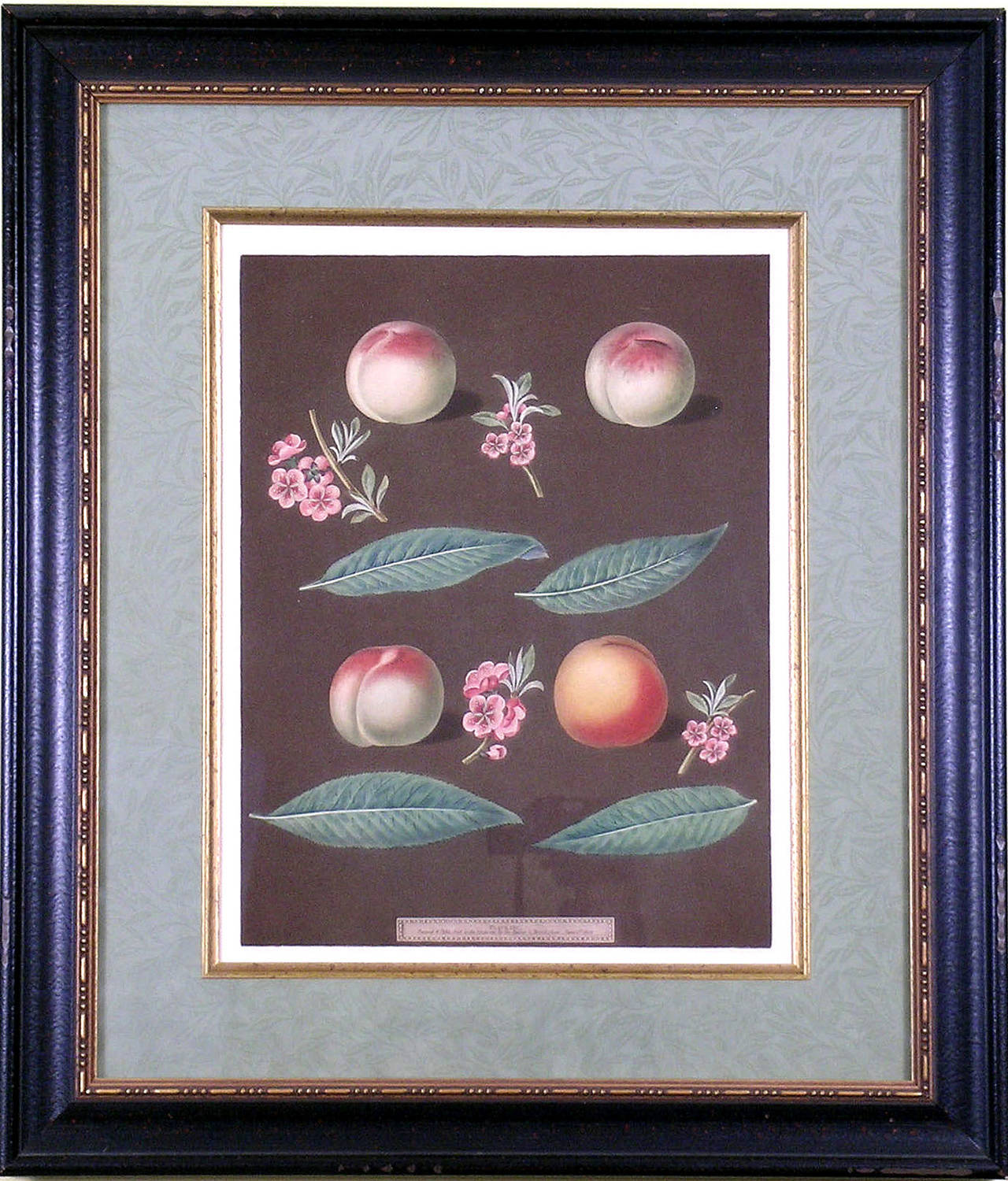 Peaches XXVI - Print by george brookshaw