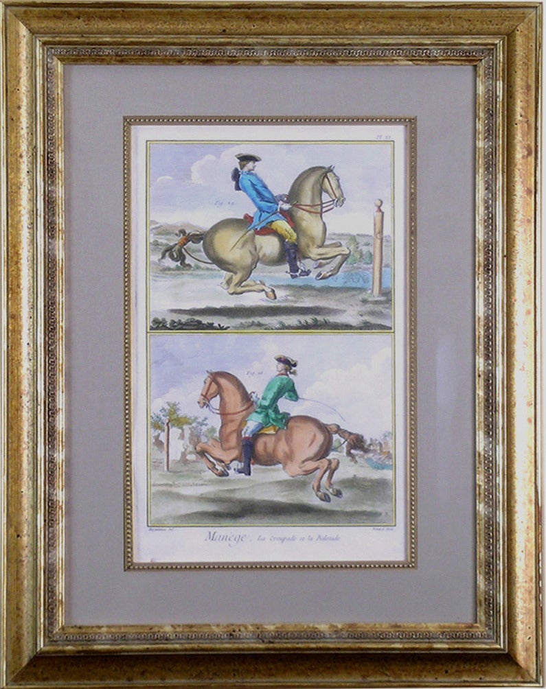 Pl. IX  Manege (Horsemanship) - Print by Denis Diderot