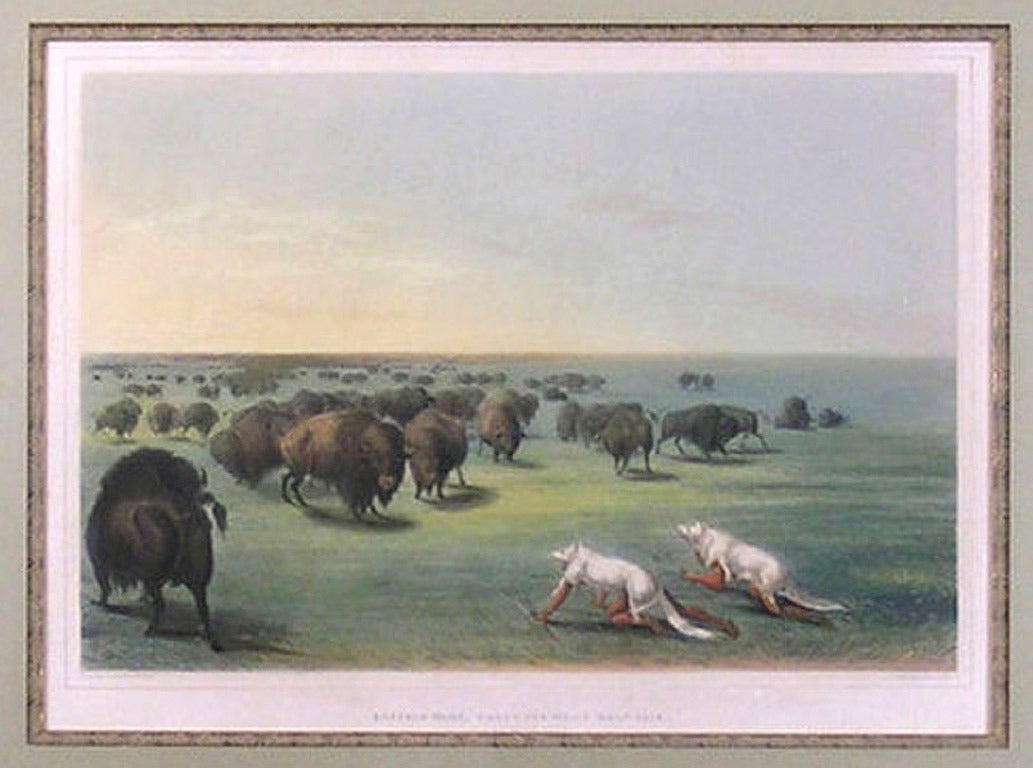 george catlin buffalo hunt