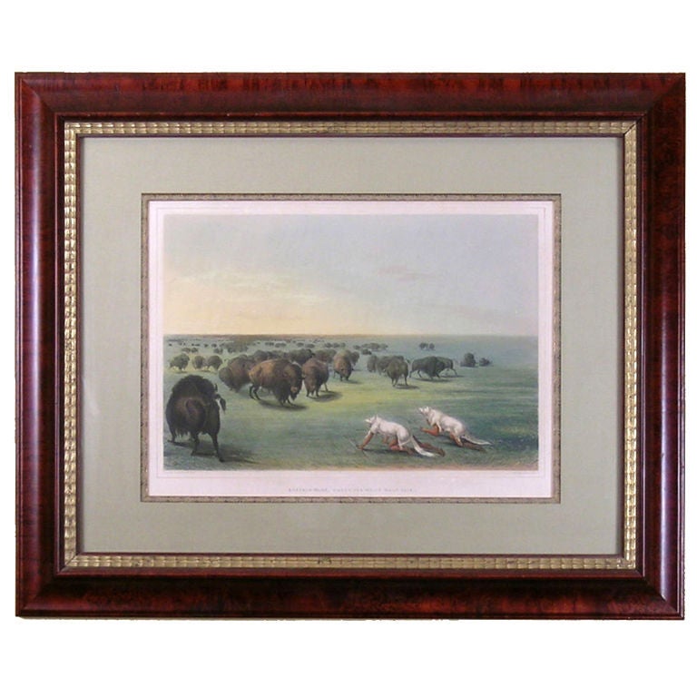 Buffalo Hunt Under the White Wolf Skin - Print by George Catlin