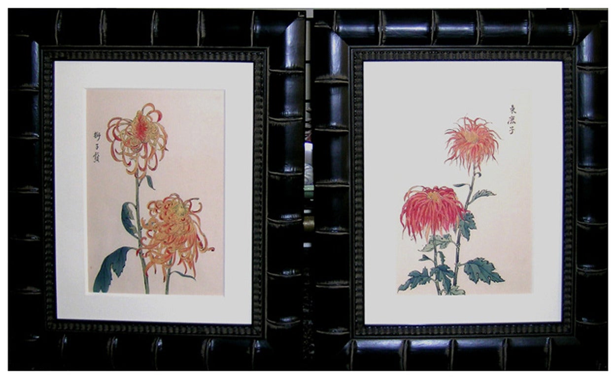 Chrysanthemum Orange & Yellow - Academic Print by Keika Hasegawa