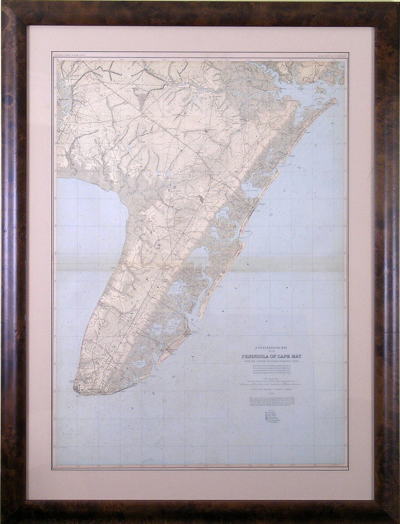 Peninsula of Cape May - Print by Julius Bien