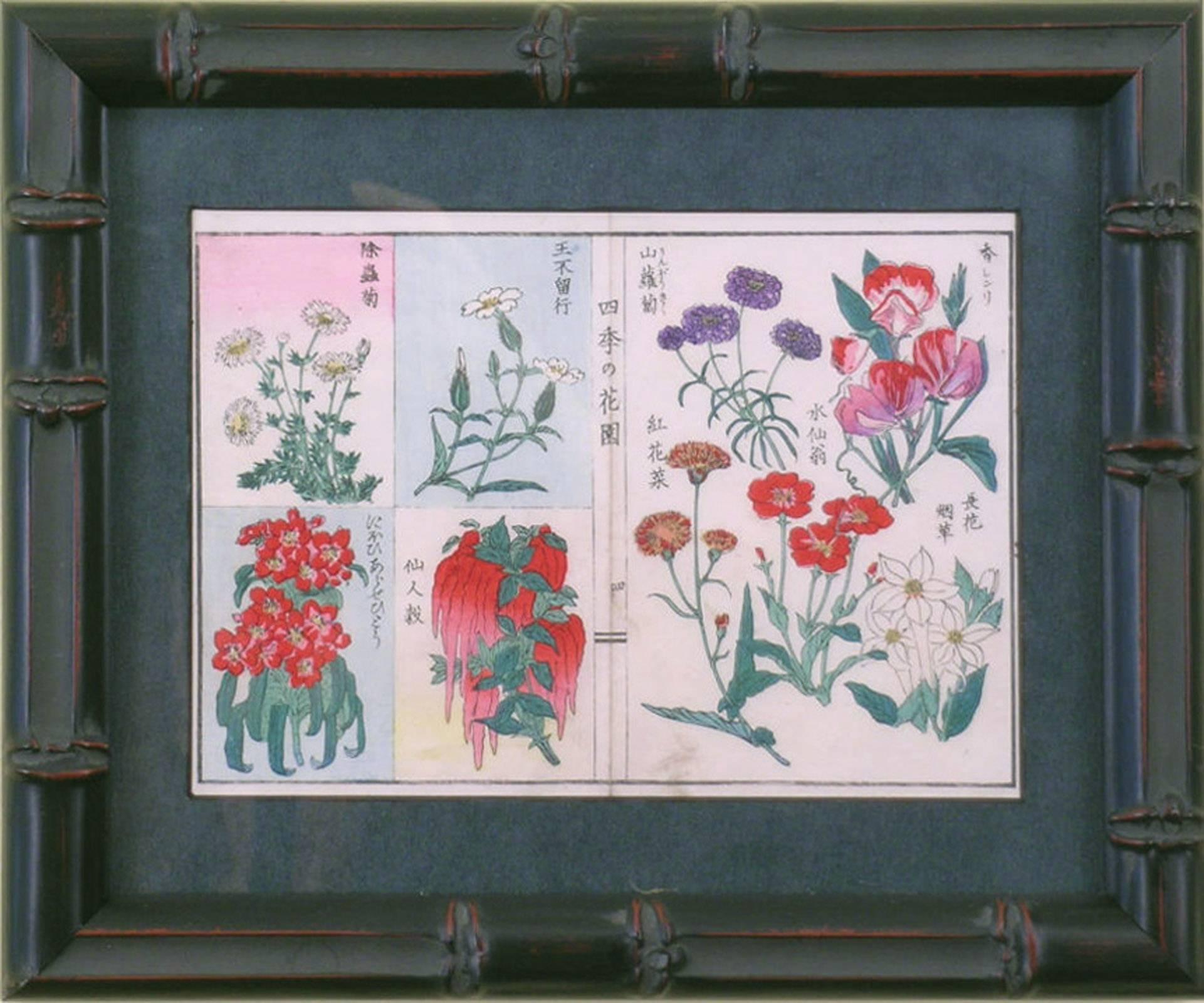 Unknown Still-Life Print – Gänseblümchen von Ikebana