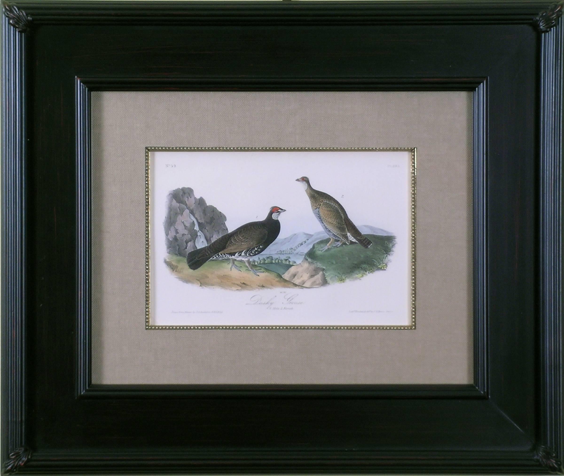 Dusky Grouse - Print by John James Audubon