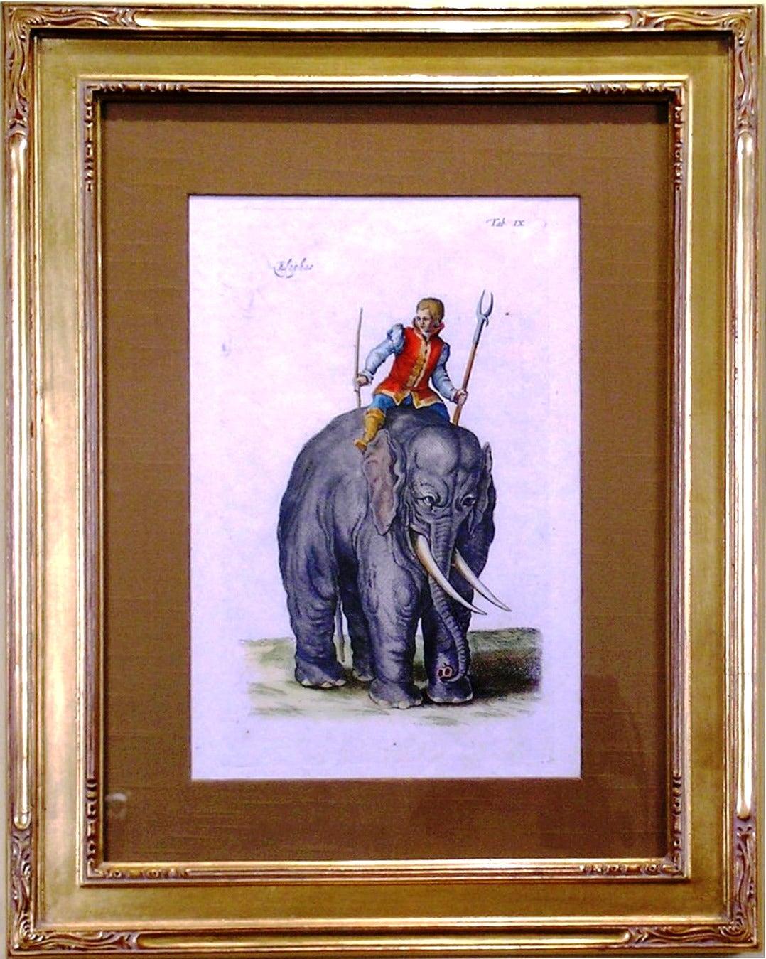 Elephas Tab. IX (Indian Elephant) - Print by Matthäus Merian the Younger
