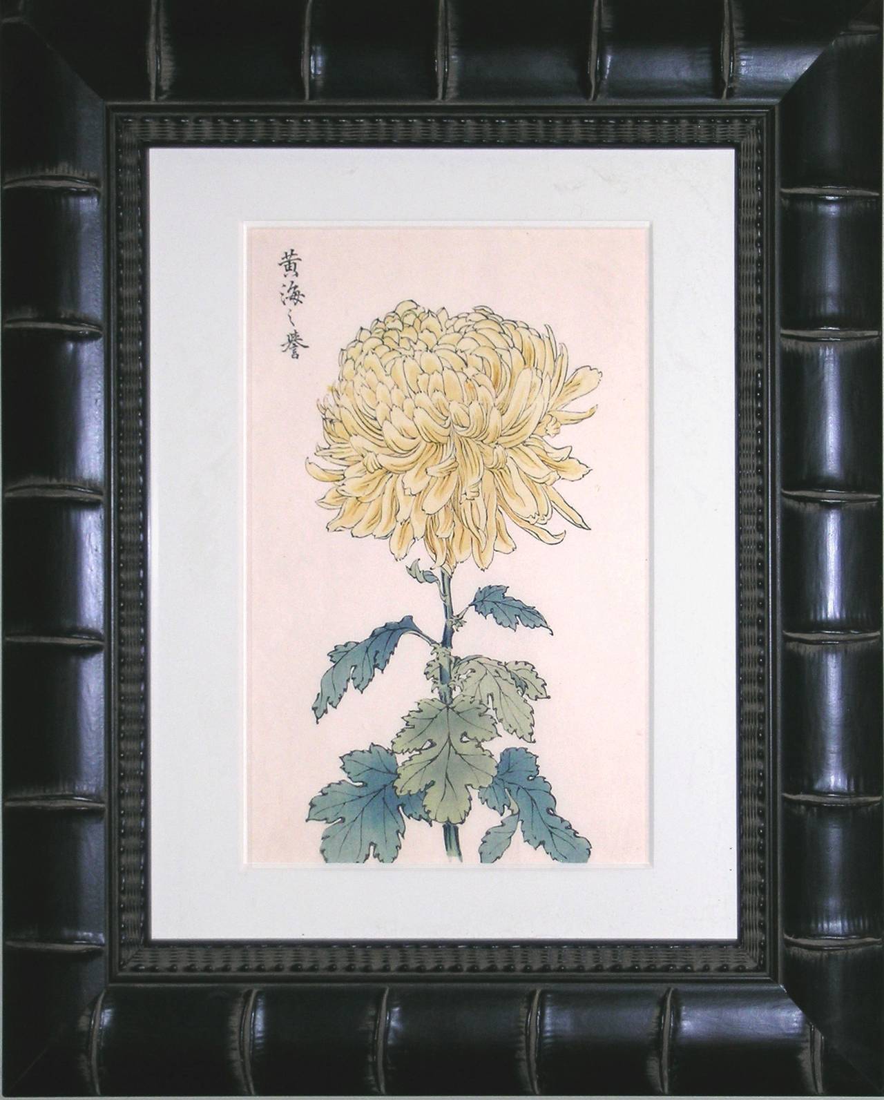 Chrysanthemum Yellow B - Print by Keika Hasegawa