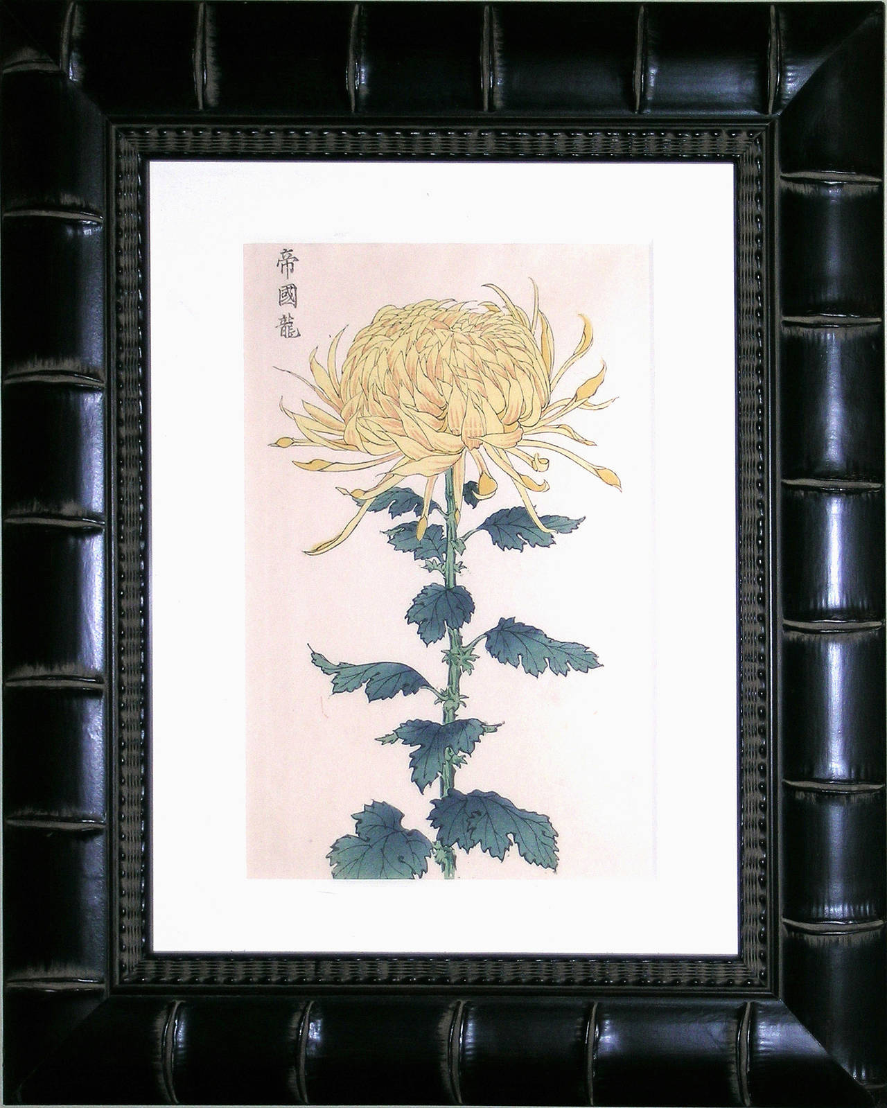 Chrysanthemum Yellow A - Print by Keika Hasegawa