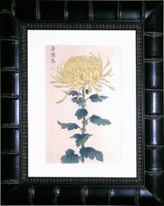 Chrysantheme Gelb A