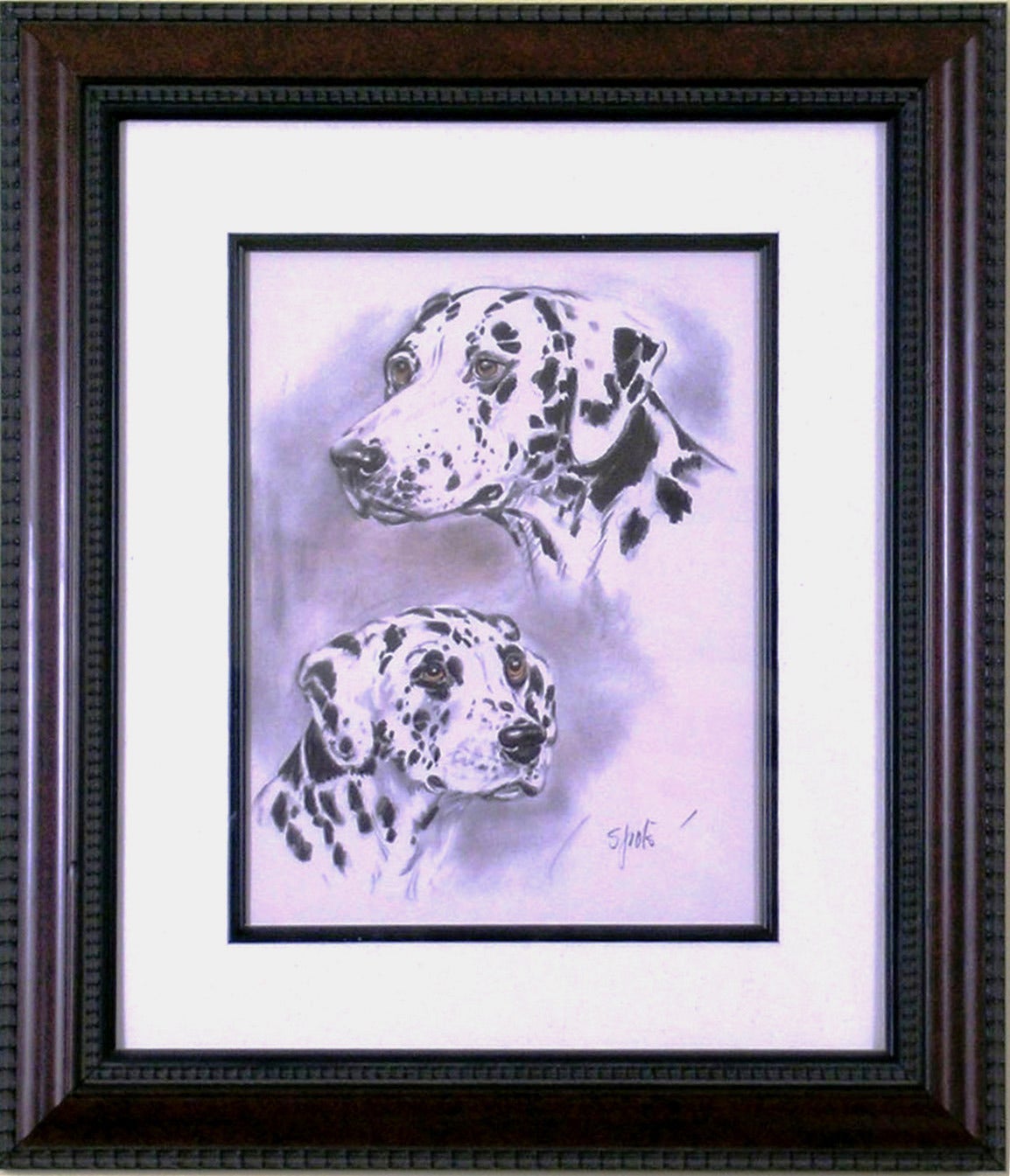 Dalmation - Print by Diana Thorne