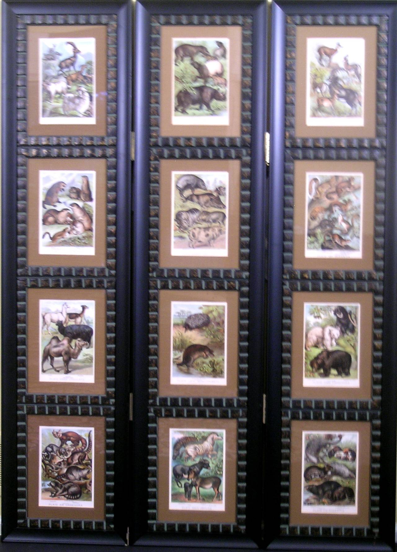 Screen.  Asortment of Animals. - Print by Henry J. Johnson