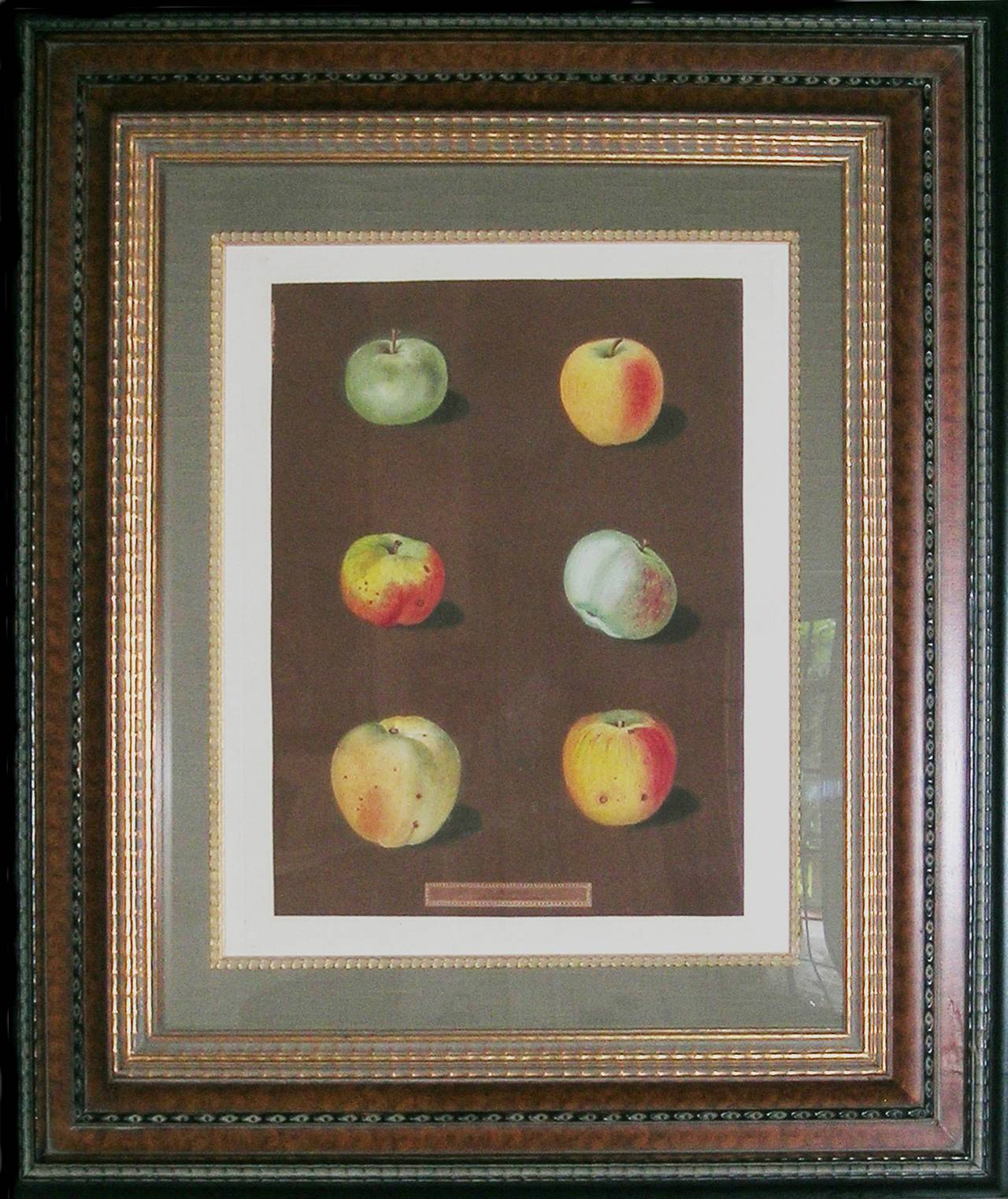 Plate 88.  Apples. - Print by george brookshaw