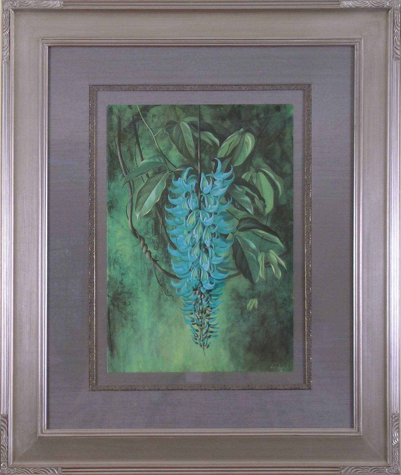 Strongylodon Macrobotrys (Jade Vine) - Print by Paul Jones b.1921