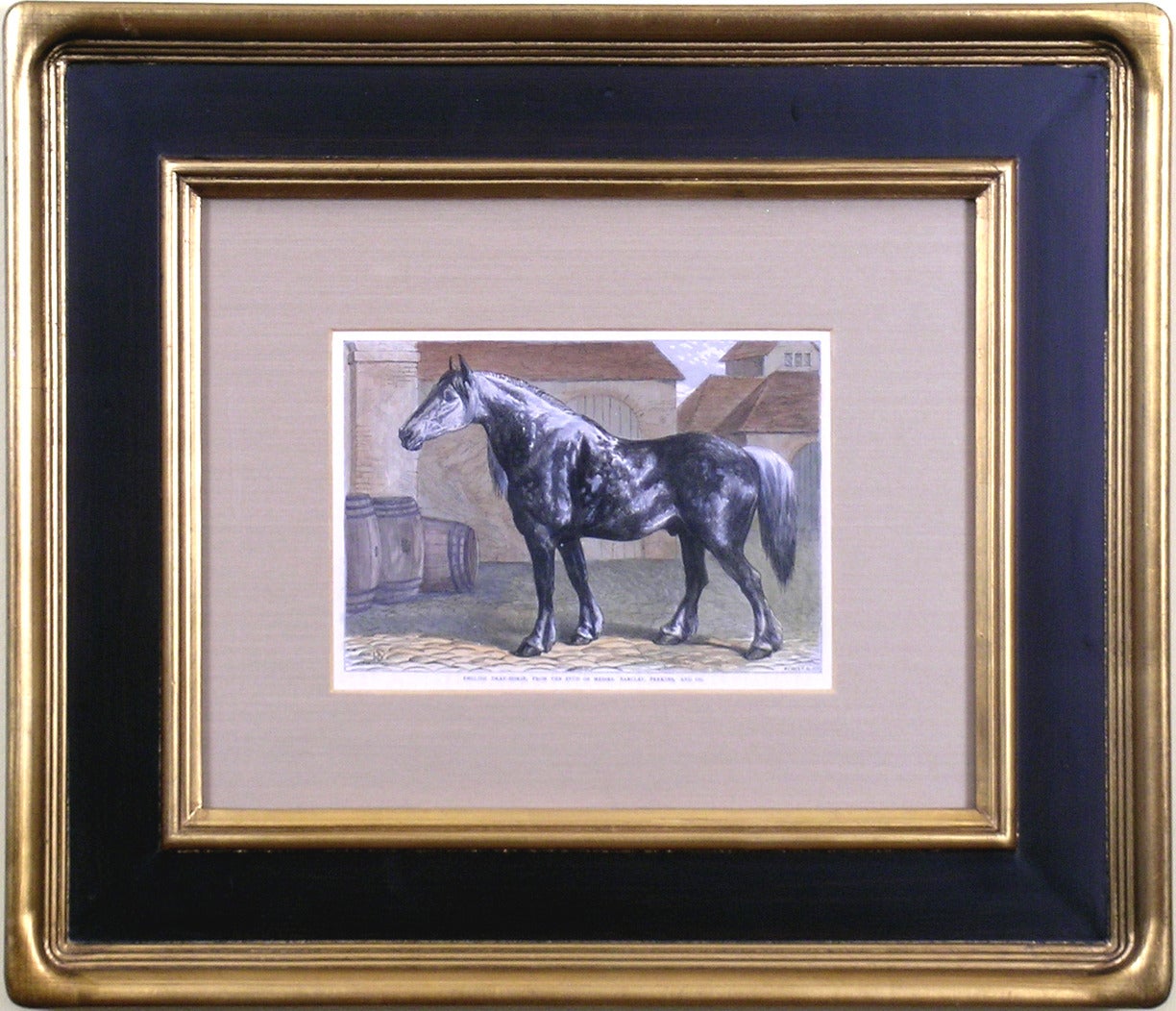 The English Dray - Print by Samuel Sydney