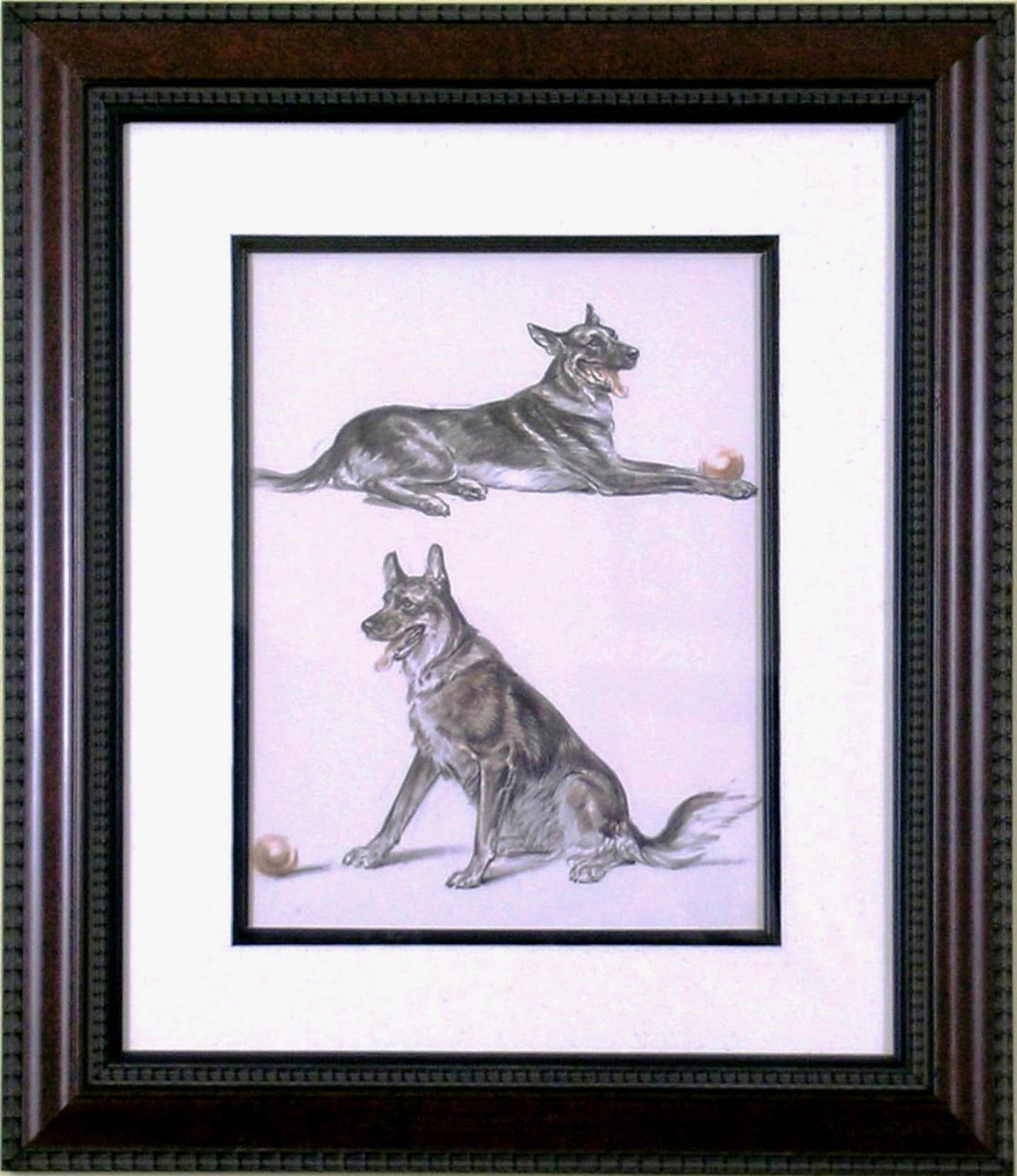 German Shepard - Print by Diana Thorne