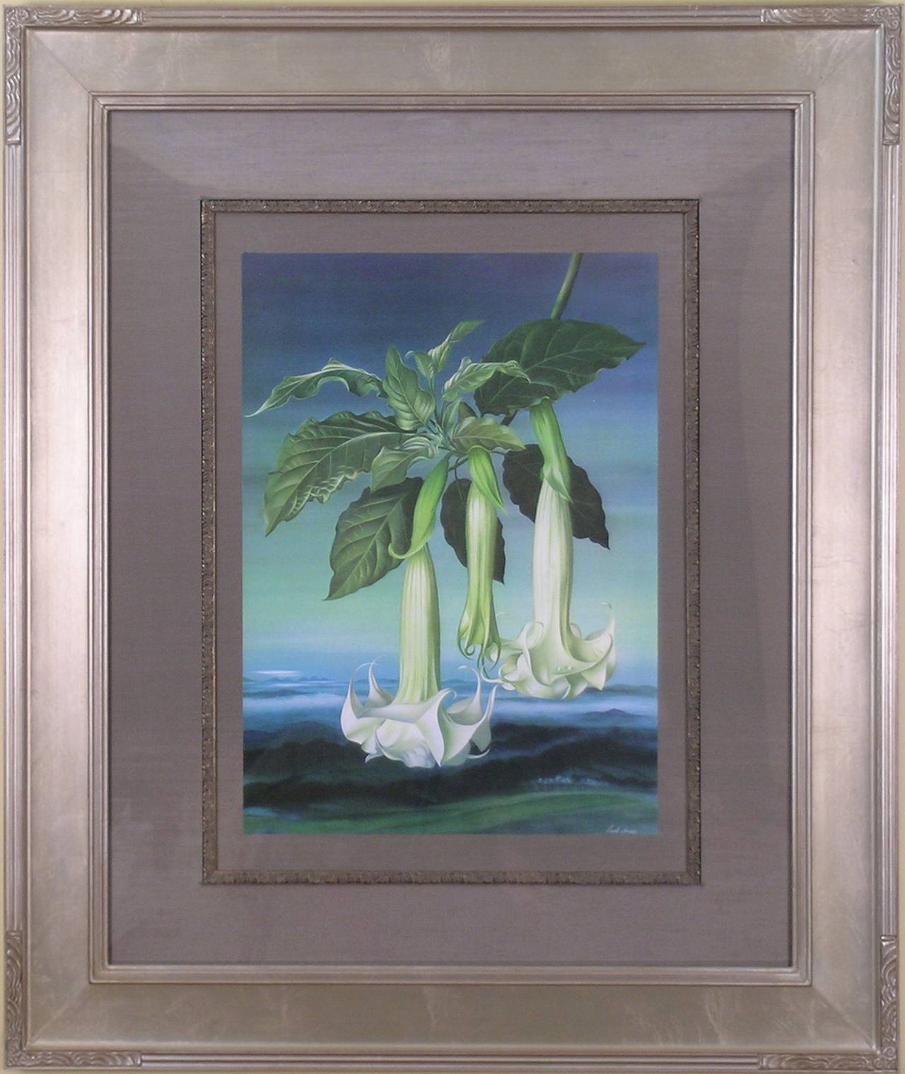 Datura Aborea  (Angel's Trumpet) - Print by Paul Jones b.1921