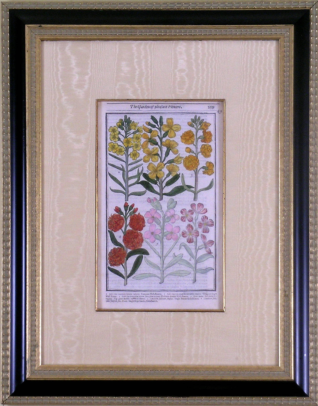 Wall Flowers - Print by John Parkinson
