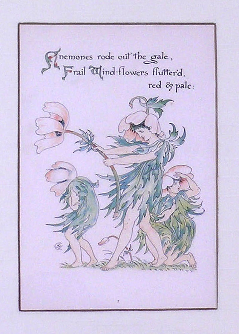 Anemones - Academic Print by Walter Crane