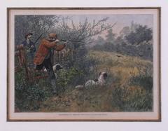Quail Shooting -- An Unexpected Bevy