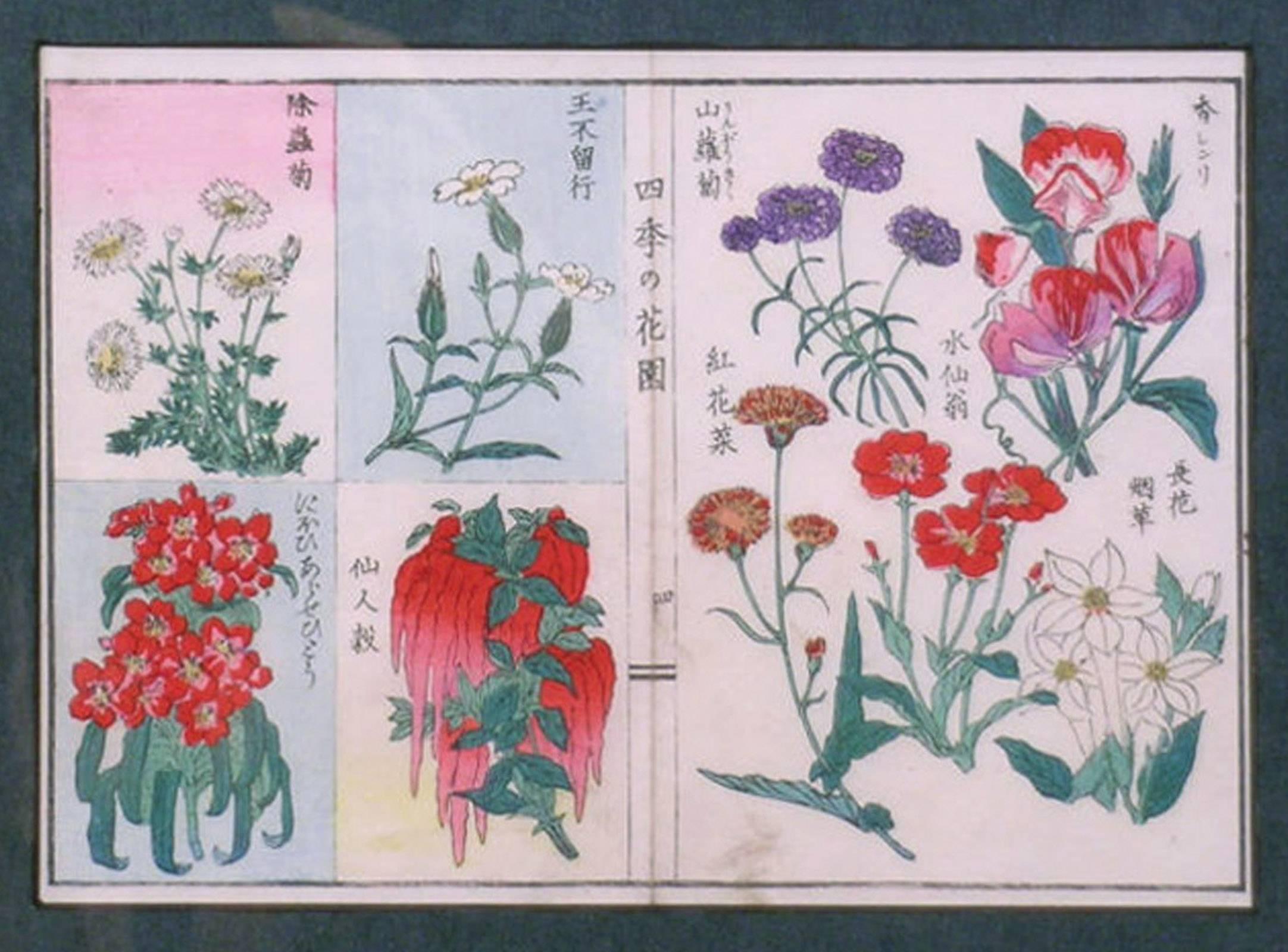 Gänseblümchen von Ikebana – Print von Unknown