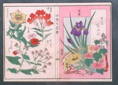 Ikebana Iris