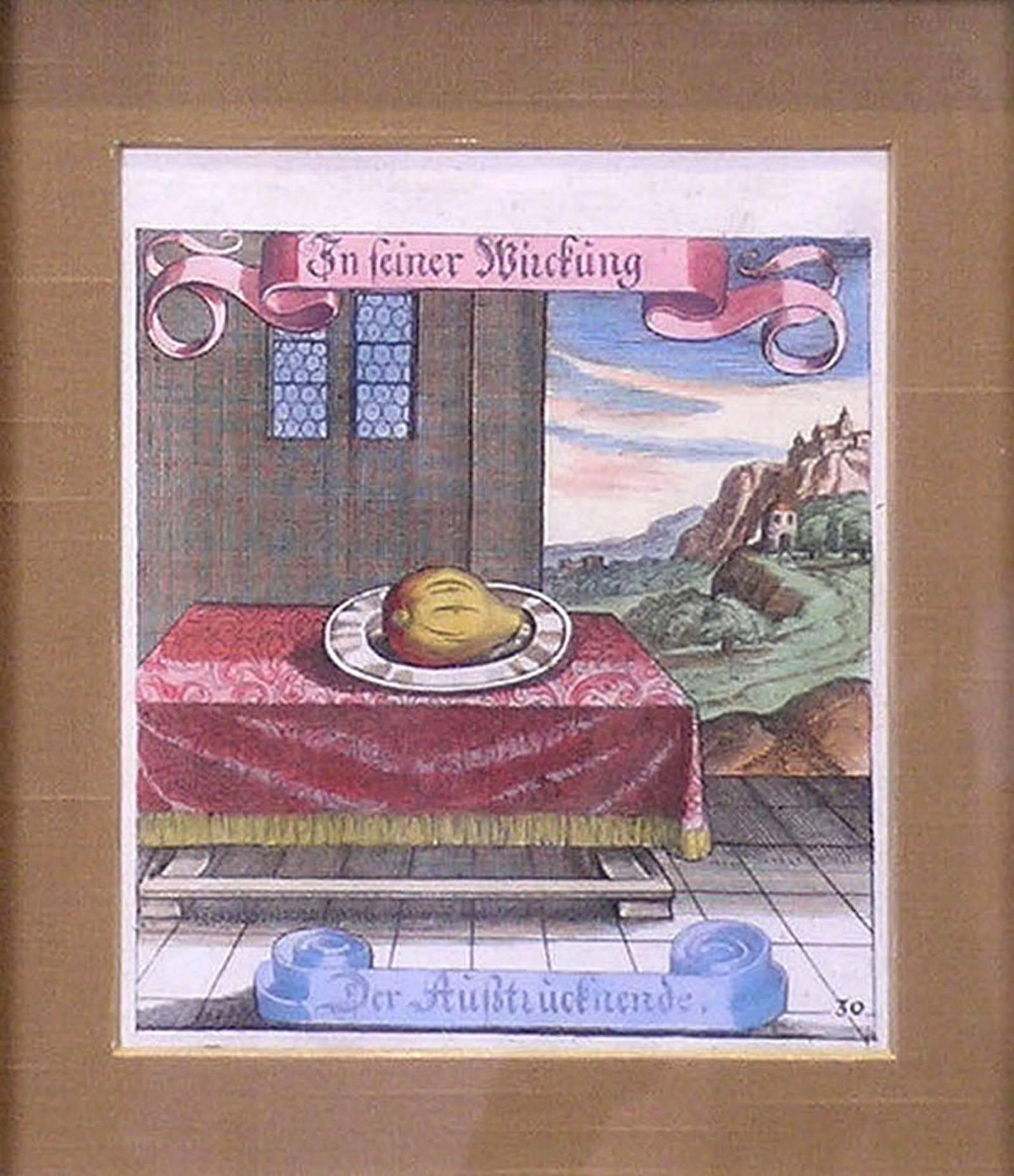 Squash - Print by Matthäus Merian the Elder