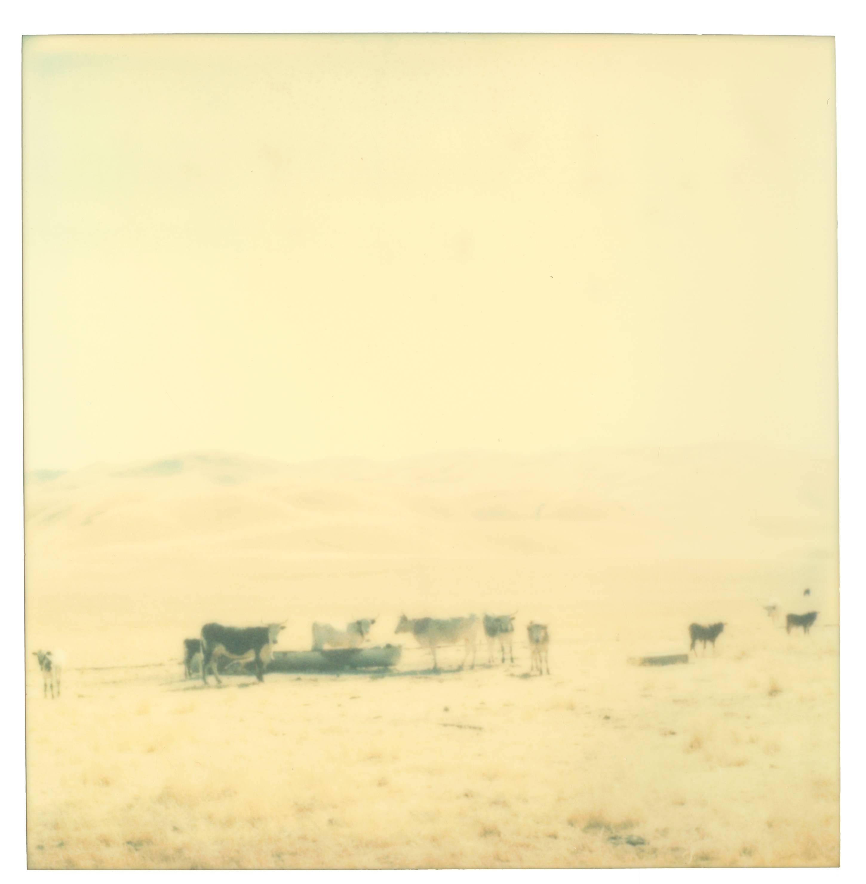 Stefanie Schneider Landscape Photograph - Untitled - Oilfields