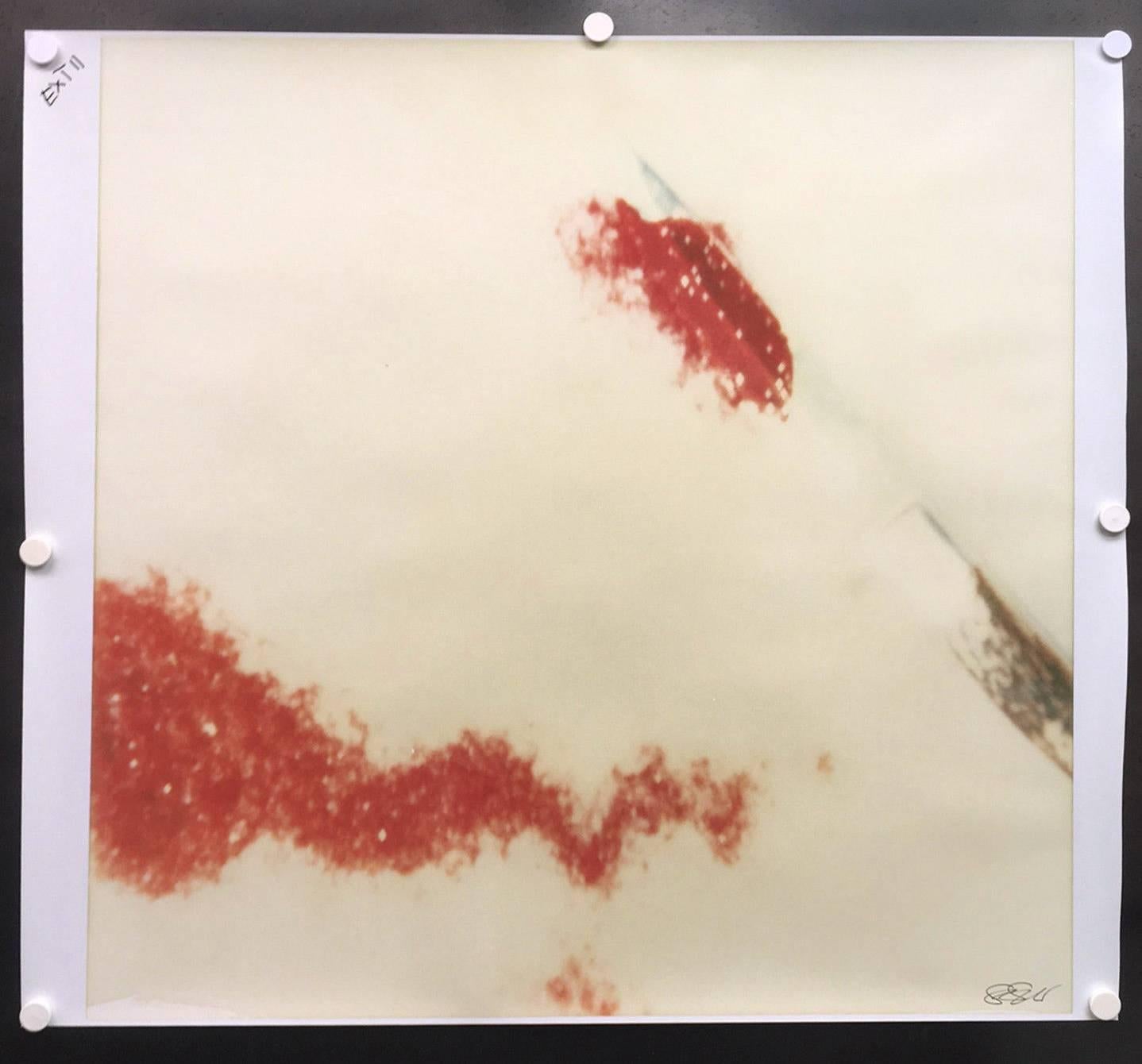 Stefanie Schneider Color Photograph - Traces from the series Frozen - based on a Polaroid Original - Proof 