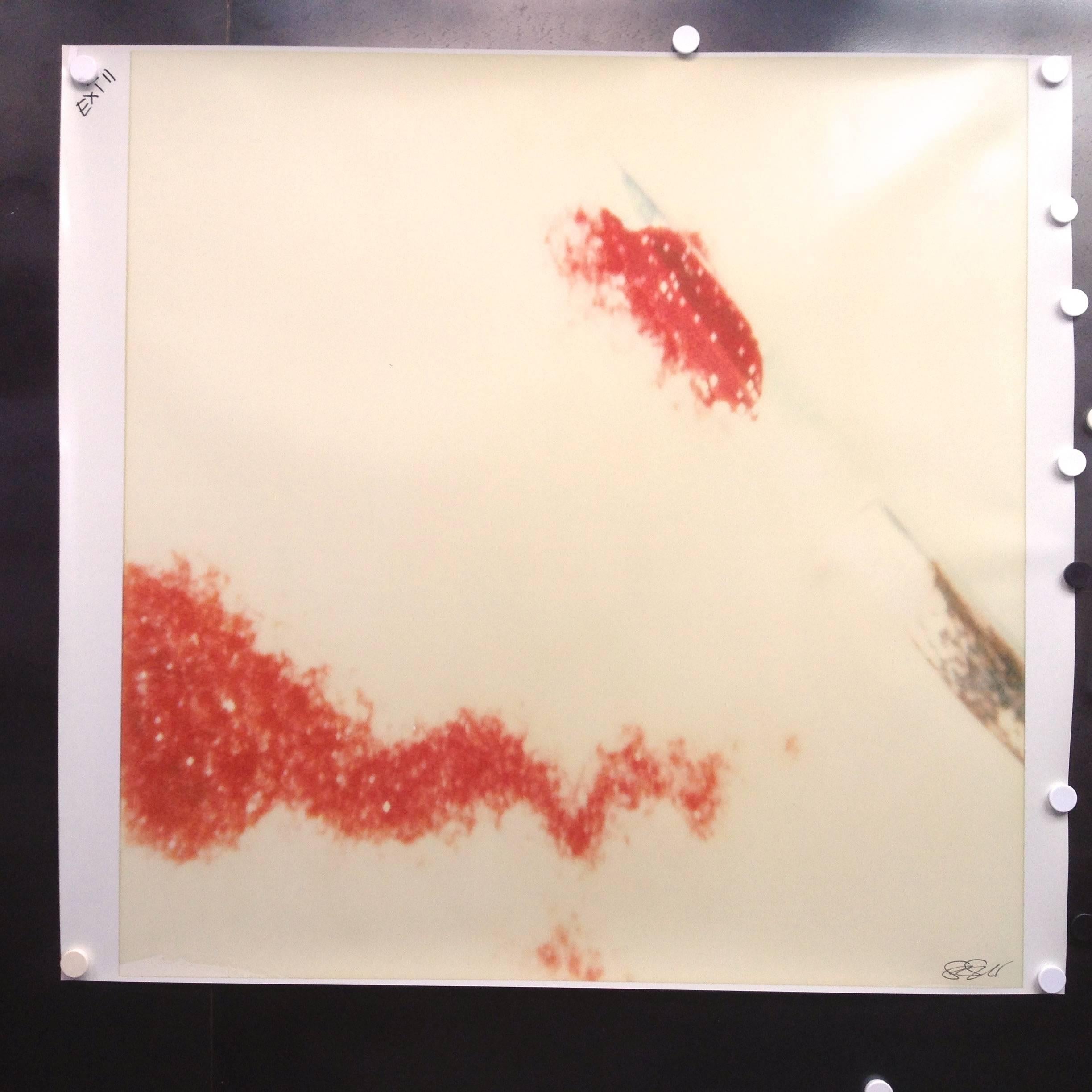 Traces from the series Frozen - based on a Polaroid Original - Proof  - Photograph by Stefanie Schneider