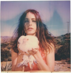 Wild Child (Chicks & Chicks e a volte anche Cocks)