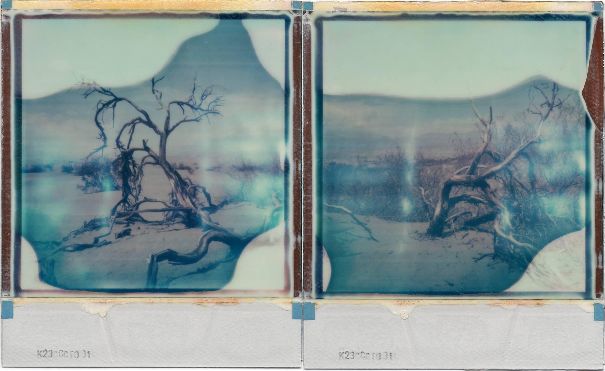 Julia Beyer Landscape Photograph - Desert Dream - based on 2 Polaroids