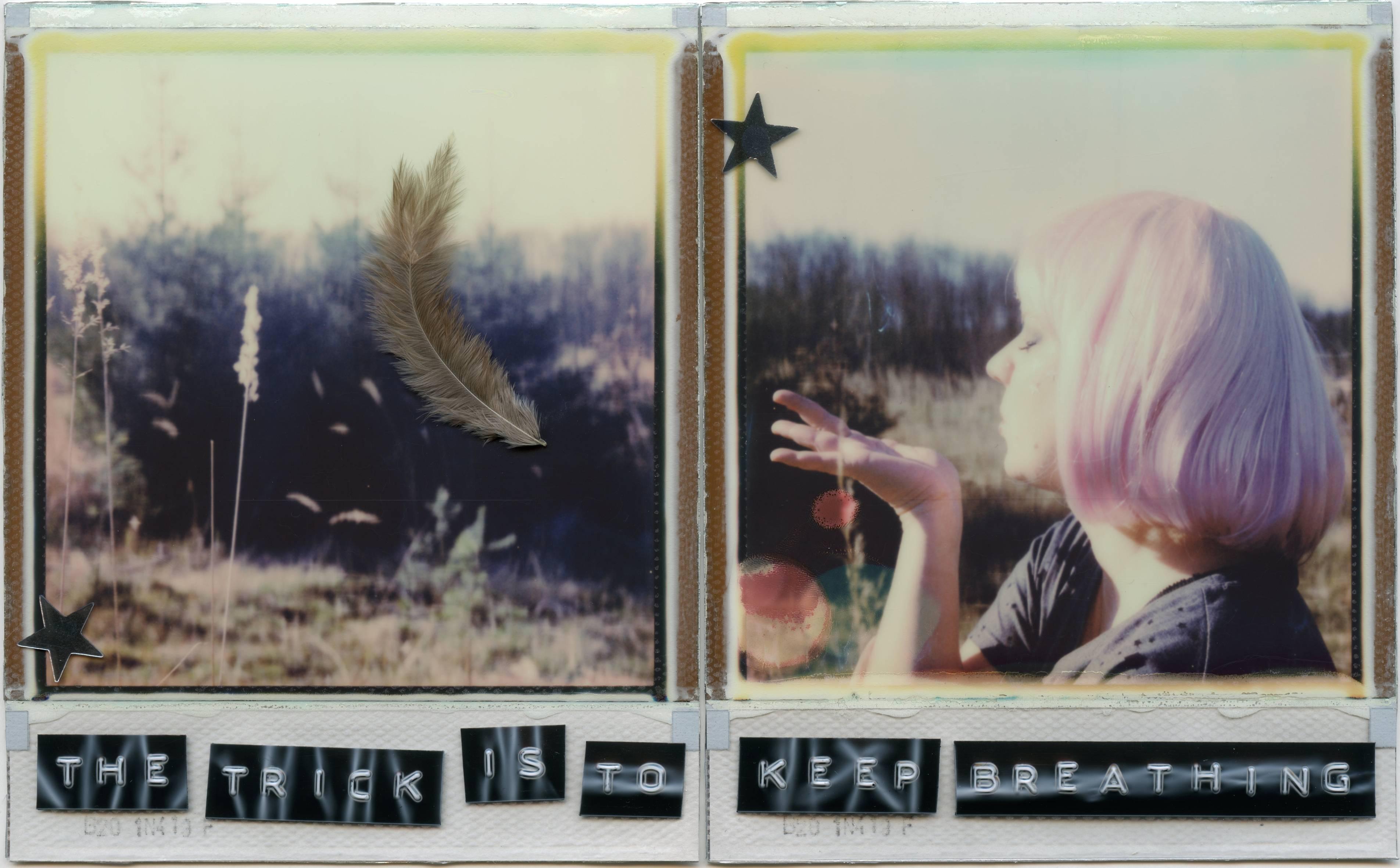 Julia Beyer Landscape Photograph - The Trick Is To Keep Breathing - based on 2 Polaroids